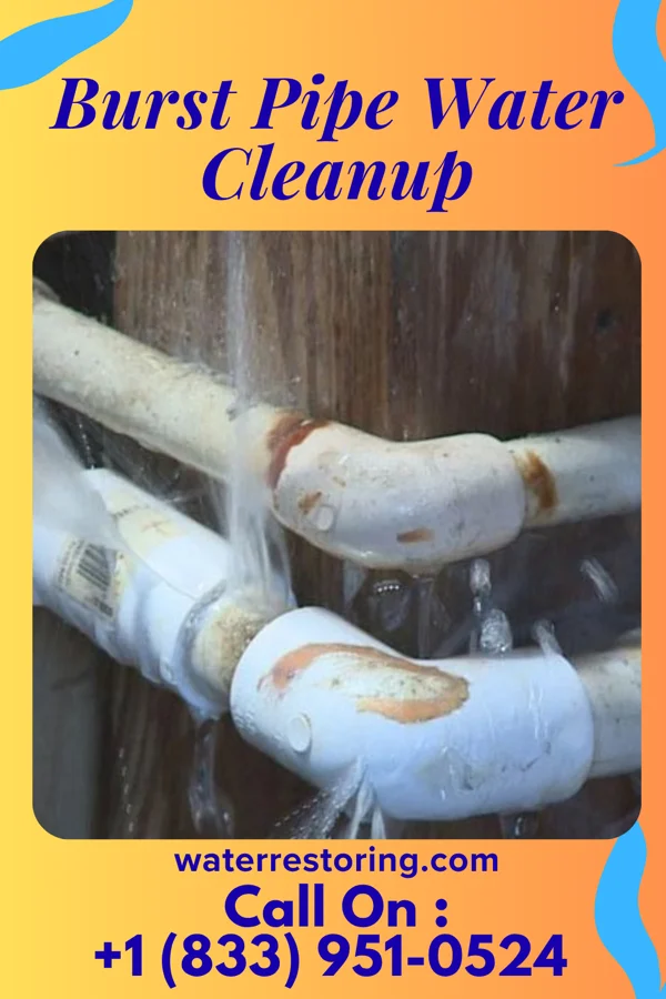 Burst Pipe Water Cleanup in Jackson, MO