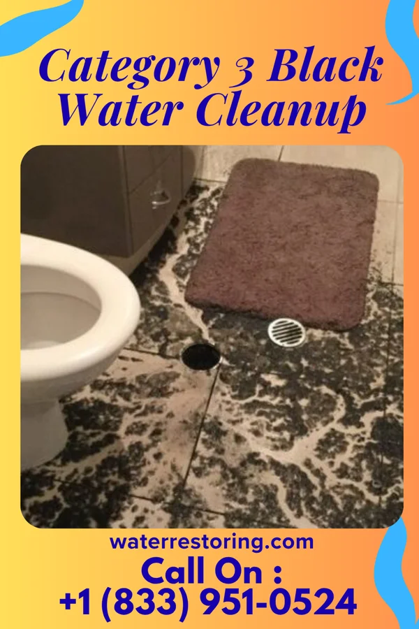 Category 3 Black Water Cleanup in Jackson, MO