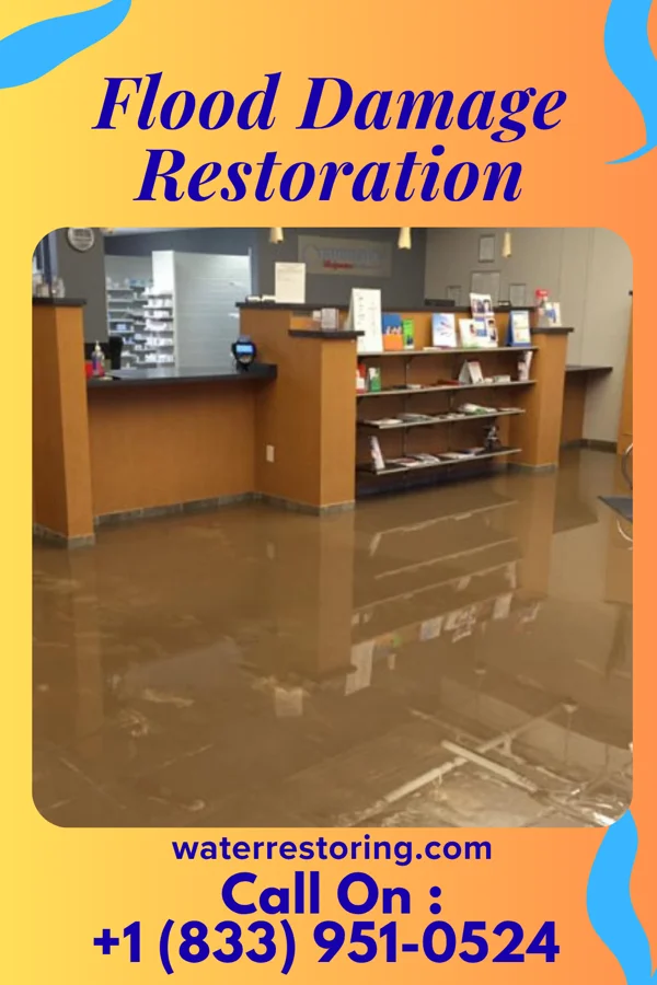 Flood Damage Restoration in Jackson, MO