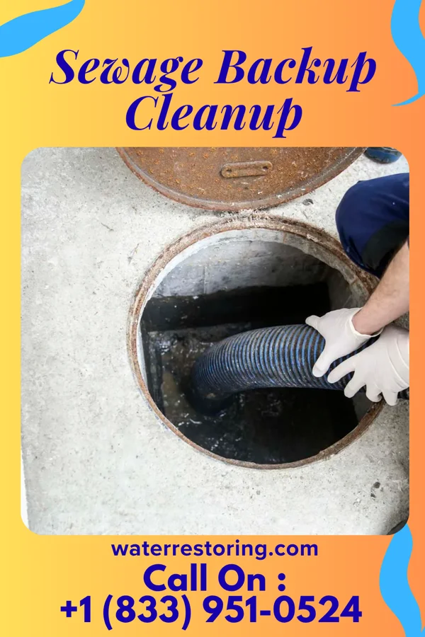 Sewage Backup Cleanup in Jackson, MO