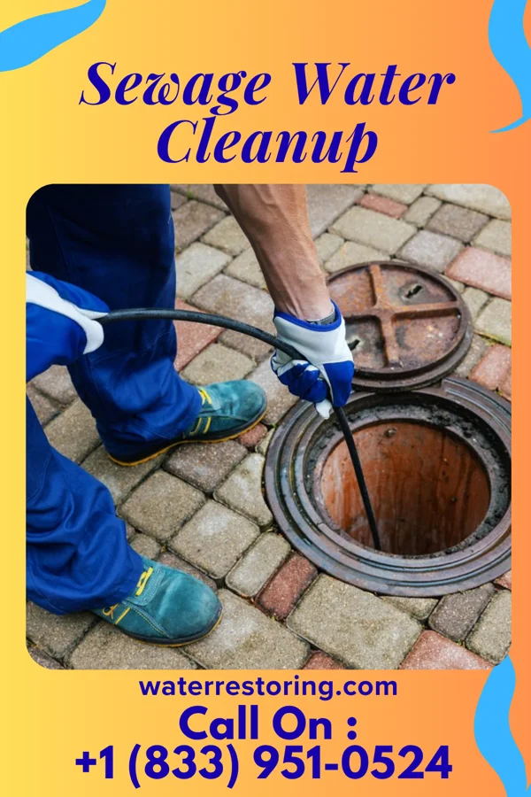 Sewage Water Cleanup in Jackson, MO
